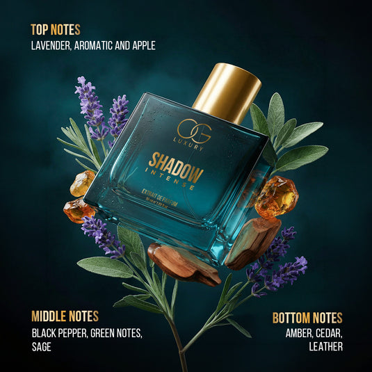 OG Luxury Extrait De Parfum Intense Combo - India’s Strongest Perfume with 40% Oil Concentration, 3x50 ML
