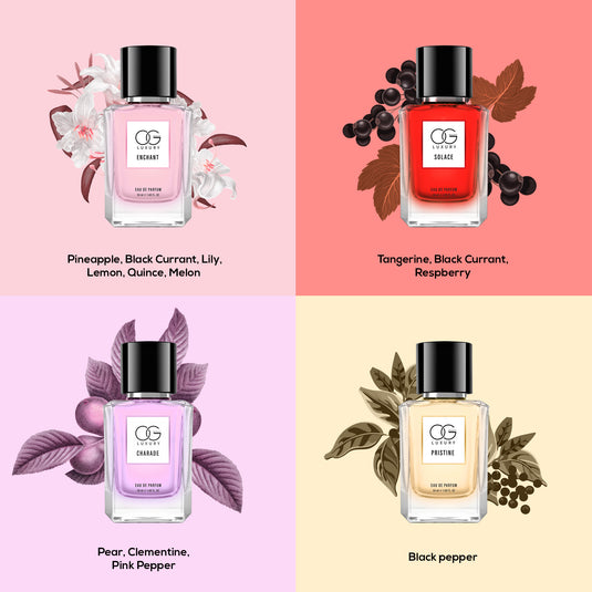 OG Beauty Luxury Perfume Combo Set, Pack of 4 - 50 ML